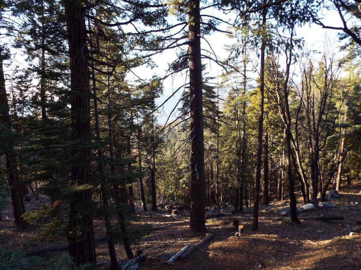 Mystic Views Casa de férias Yosemite West